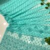 Sea Green Chikankari Saree