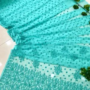 Chikankari Saree With Resham Thread Embroidery