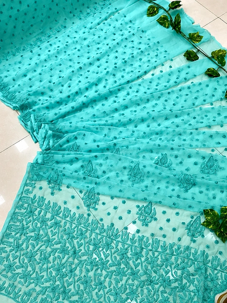 Chikankari Saree With Resham Thread Embroidery