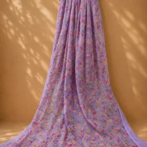 Chikankari Saree With Multicolour Embroidery